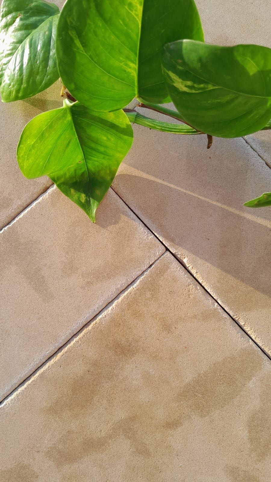 Beige Limestone