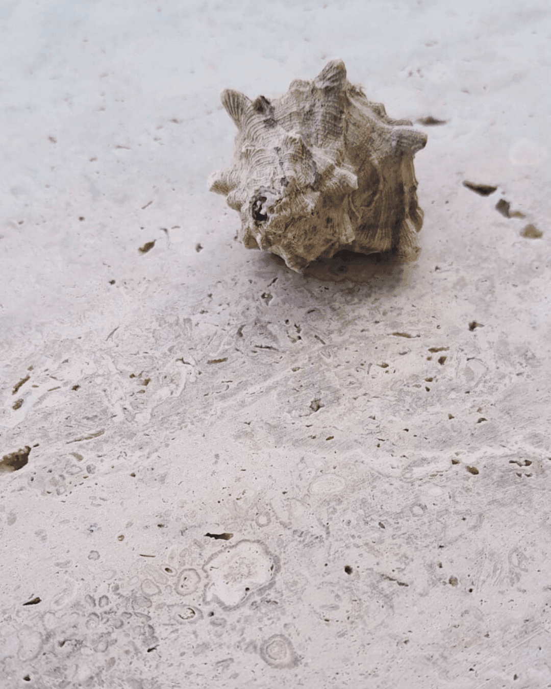 Honed Travertine