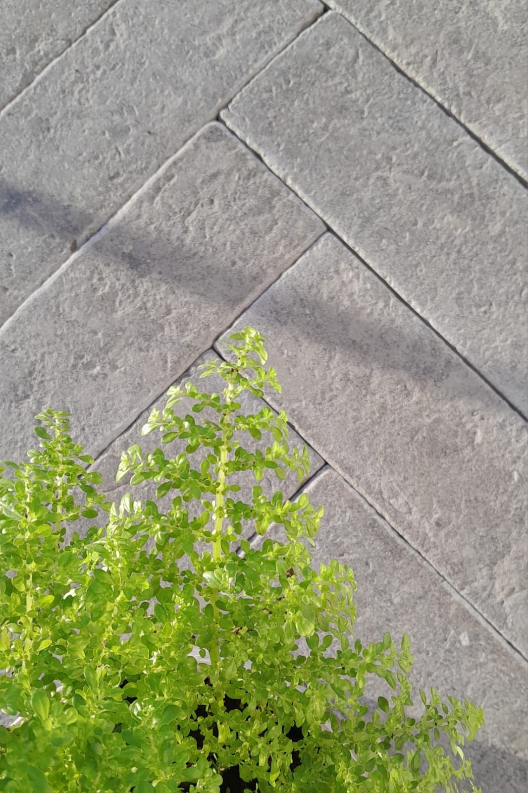 Tuda Limestone